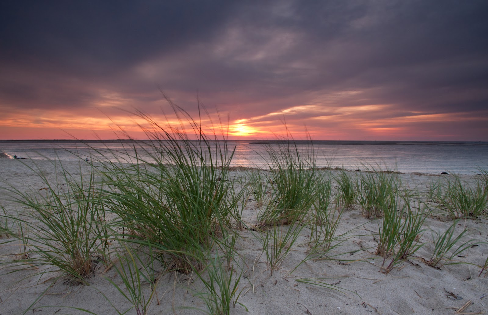 Light Touch Photos: Blog