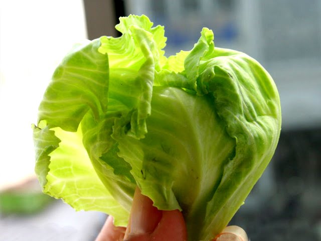 Juliasayz Baby Kailan Or