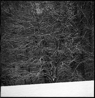 Winterbilder aus Wuppertal