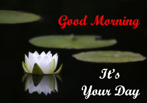 good morning new messages