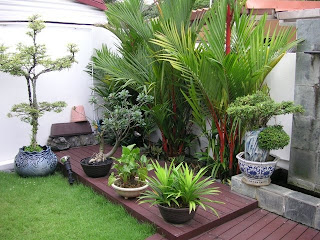 garden design ideas