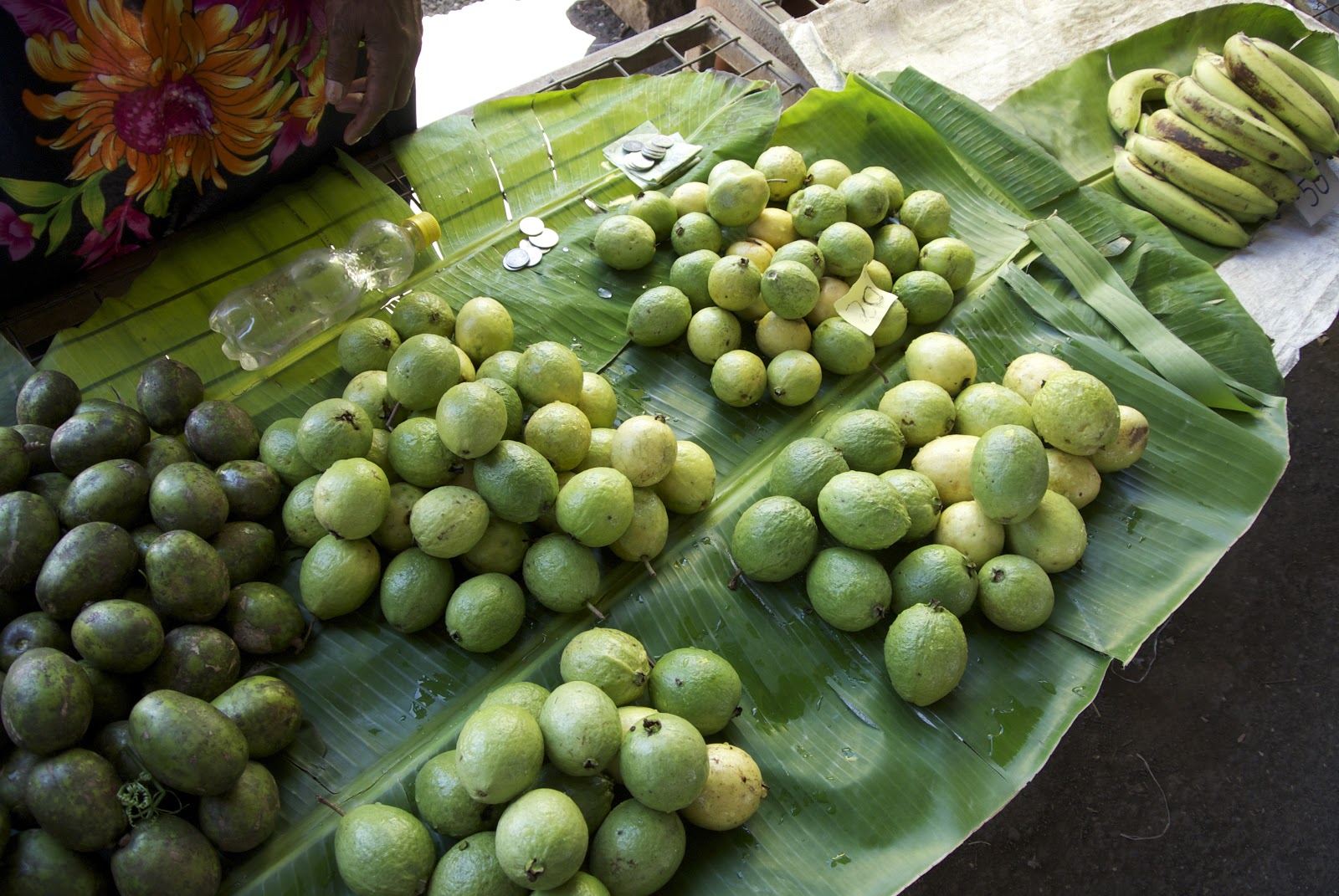 GlobalGoodFood Lae fruit, vegetables produce market Papua New Guinea