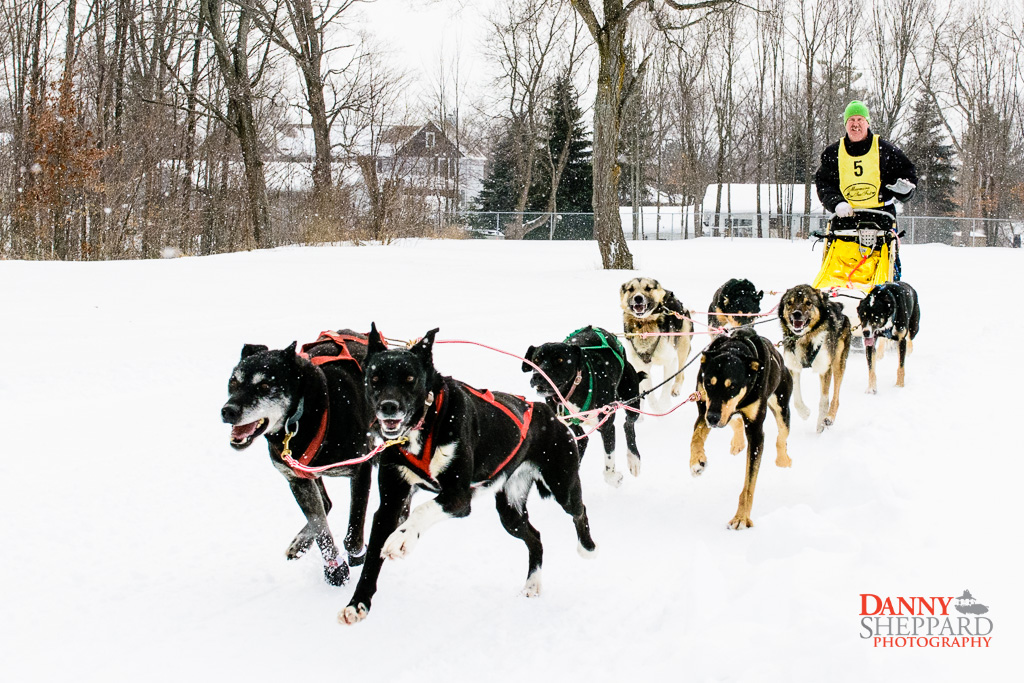 Marmora SnoFest Dogsled Races Marmora SnoFest Dogsled Races