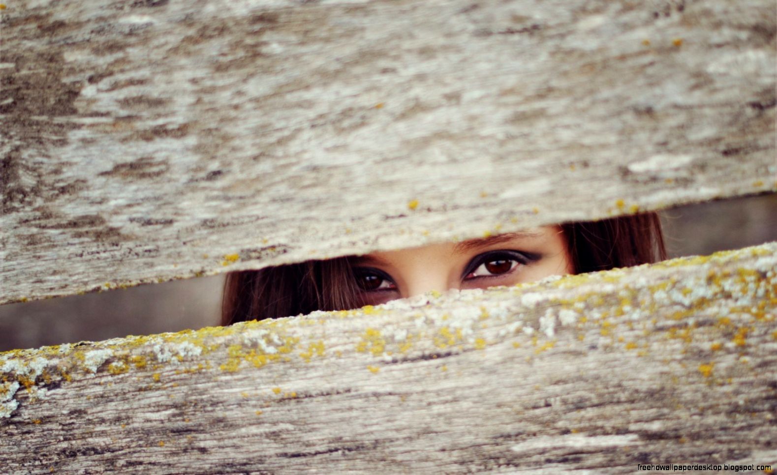 Girl Eyes Fence wallpaper 1680x1050 19618 Girl Eyes Fence wallpaper 1680x1050 19618