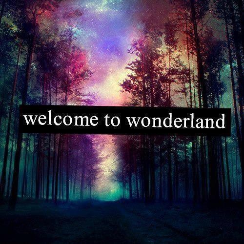 Meanwhile, in Wonderland...