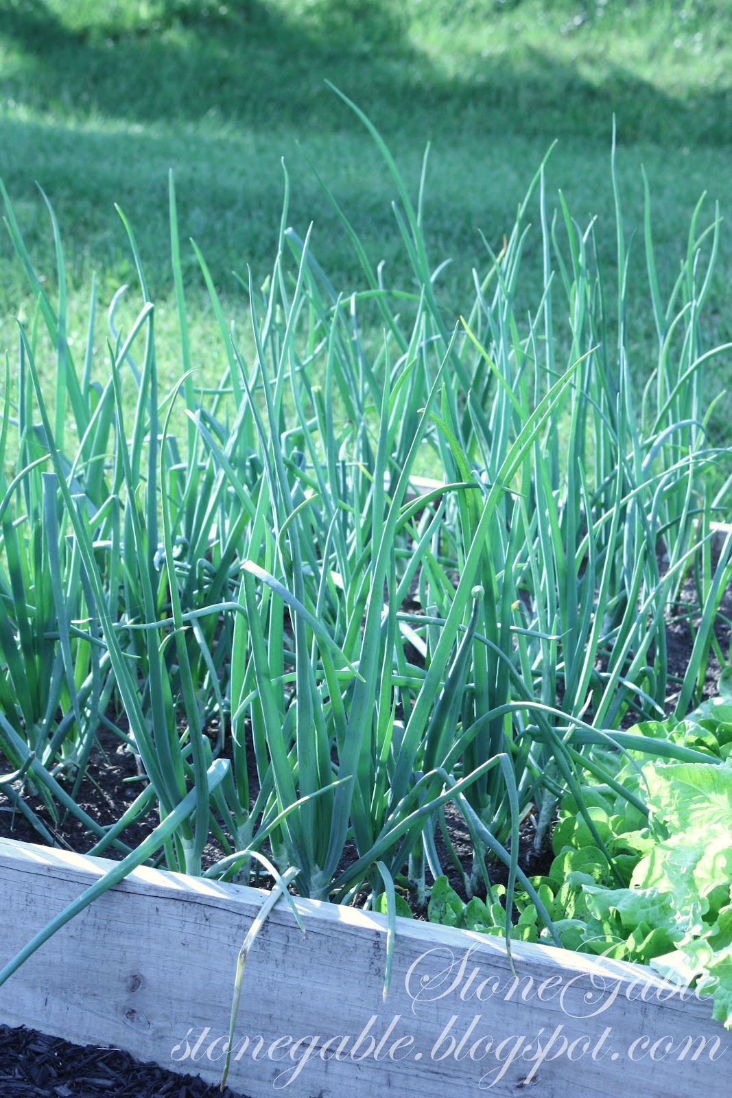 In The Garden StoneGable