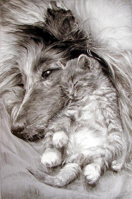   + + - +%  2527Art% 2540 + - +% 252812% 2529