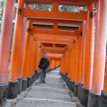 シドニー徒然草-伏見稲荷