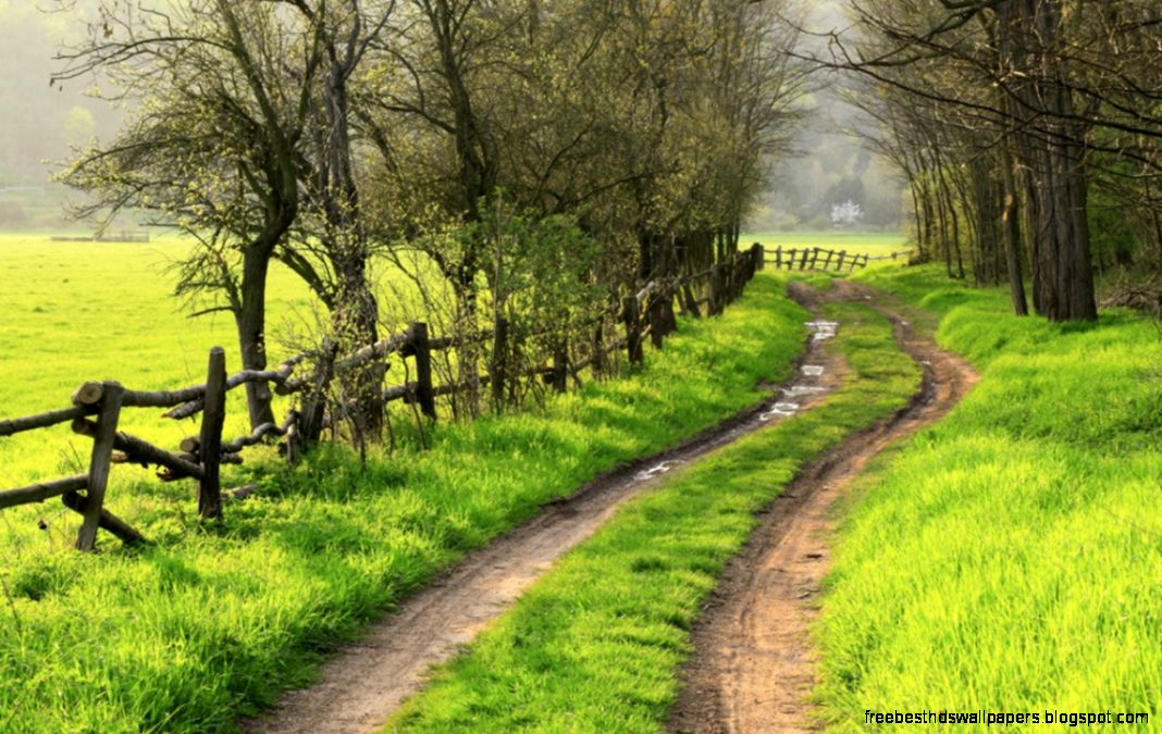Green Path Trees Wooden Fence » Gentle Guidance through Lifes Green Path Trees Wooden Fence » Gentle Guidance through Lifes