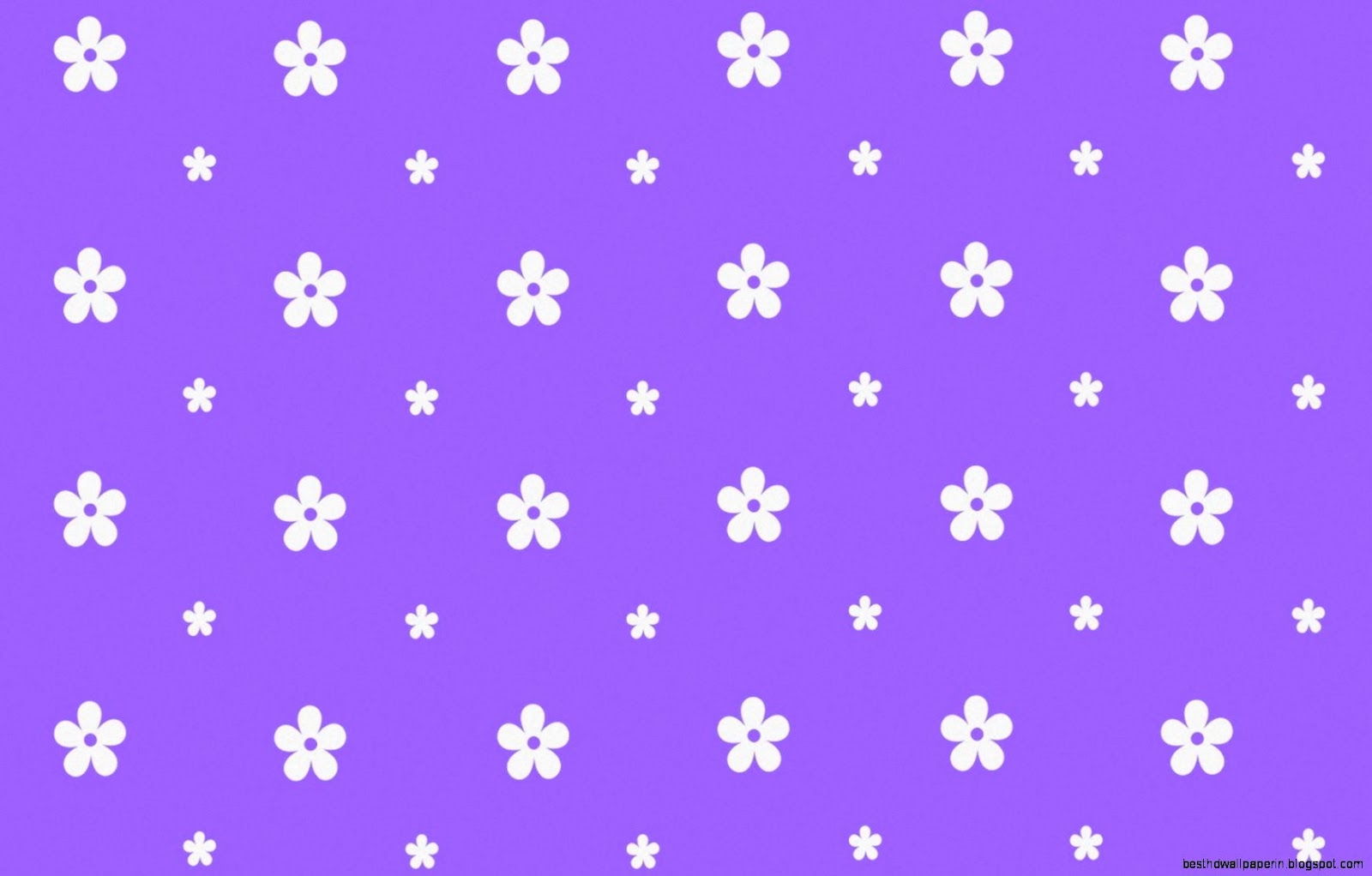 Light Purple Background with White Flowers Light Purple Background with White Flowers