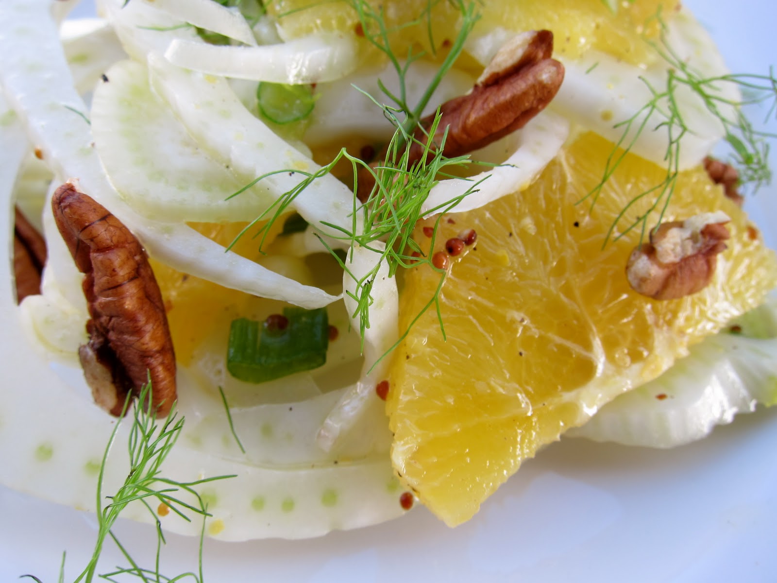 moreterriers Fennel and Orange Salad