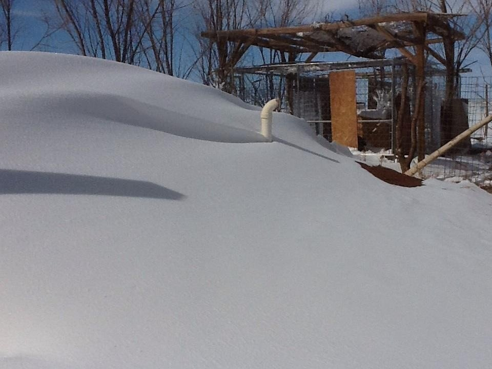 Aftermath Of Yesterday's Historic Blizzard Across Eastern NM & W TX.