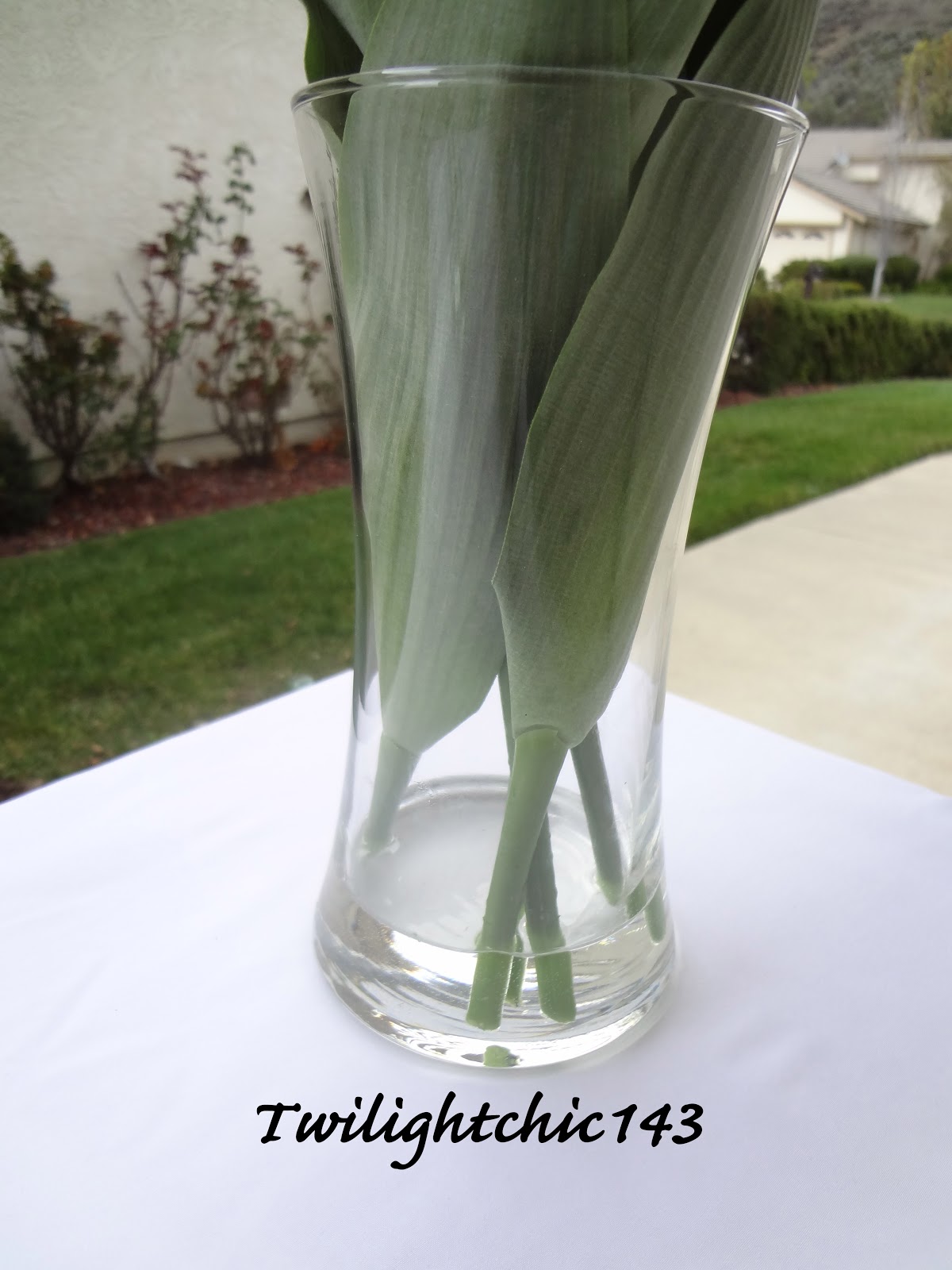 Tin's Bloggin DIY Acrylic Water Flower Arrangement♡TwiChic Thursday