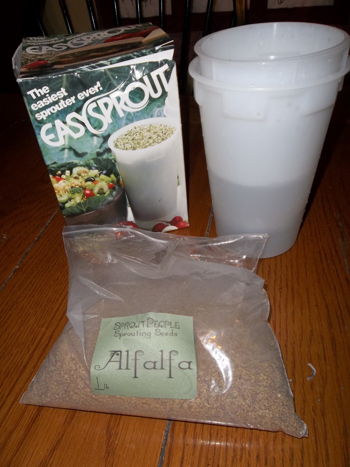 Herb and Botanicals Homestead Growing Sprouts