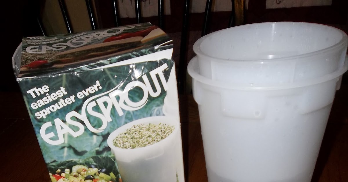 Herb and Botanicals Homestead Growing Sprouts