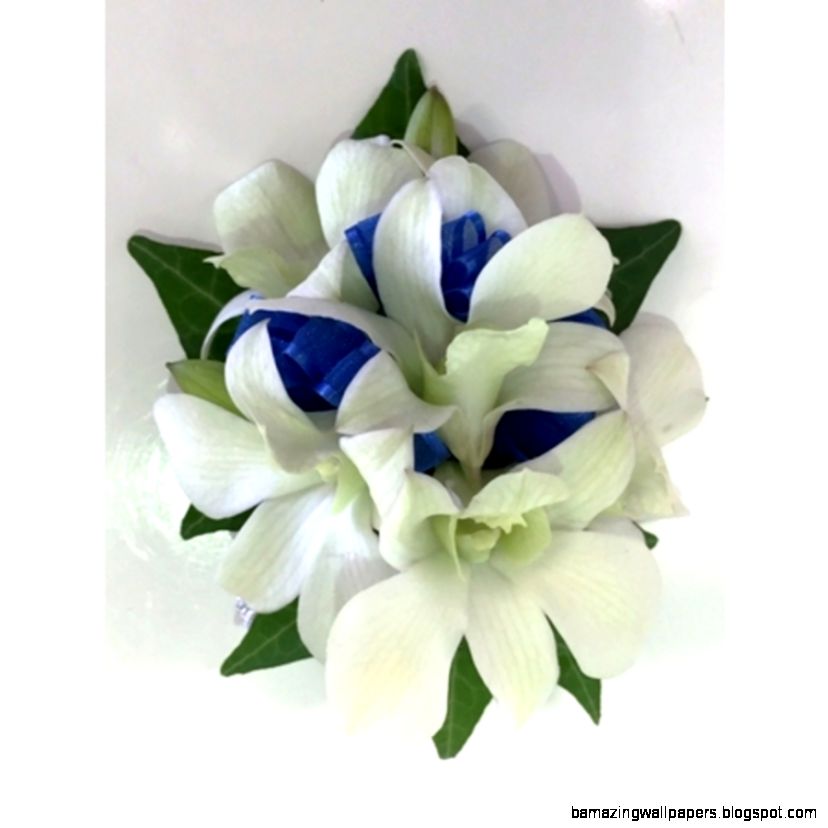 White Orchid Wrist Corsage with Blue Ribbon White Orchid Wrist Corsage with Blue Ribbon
