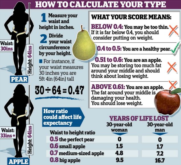 Exercise for apple shape