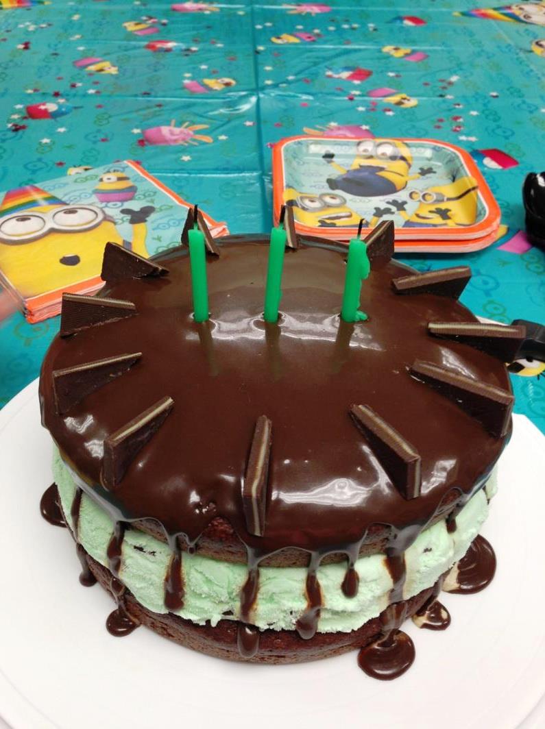 Sweet and Savory Shenanigans Mint Chocolate Chip Ice Cream Cake