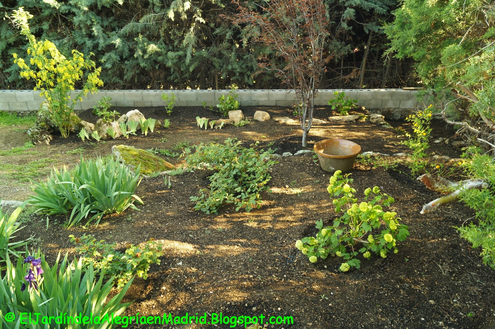 El jardín de la alegría : Un rincón en el jardín para cultivar algunas