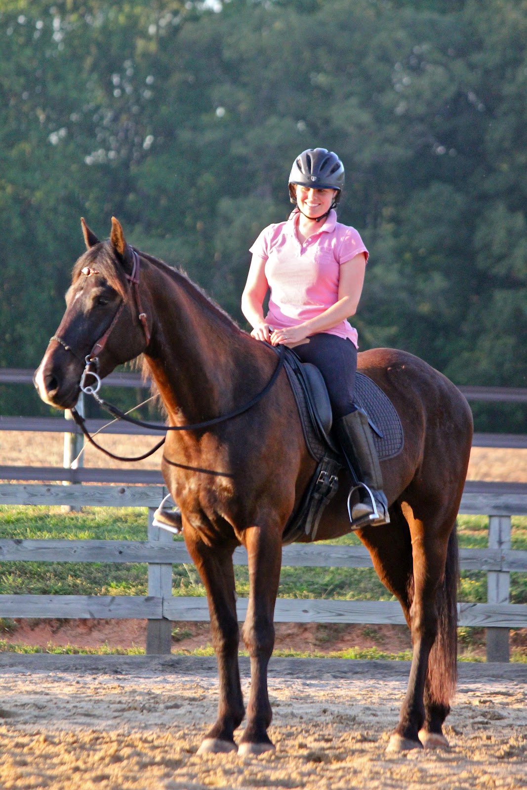Just Horses Kate & James Cooler of Cooler Horsemanship