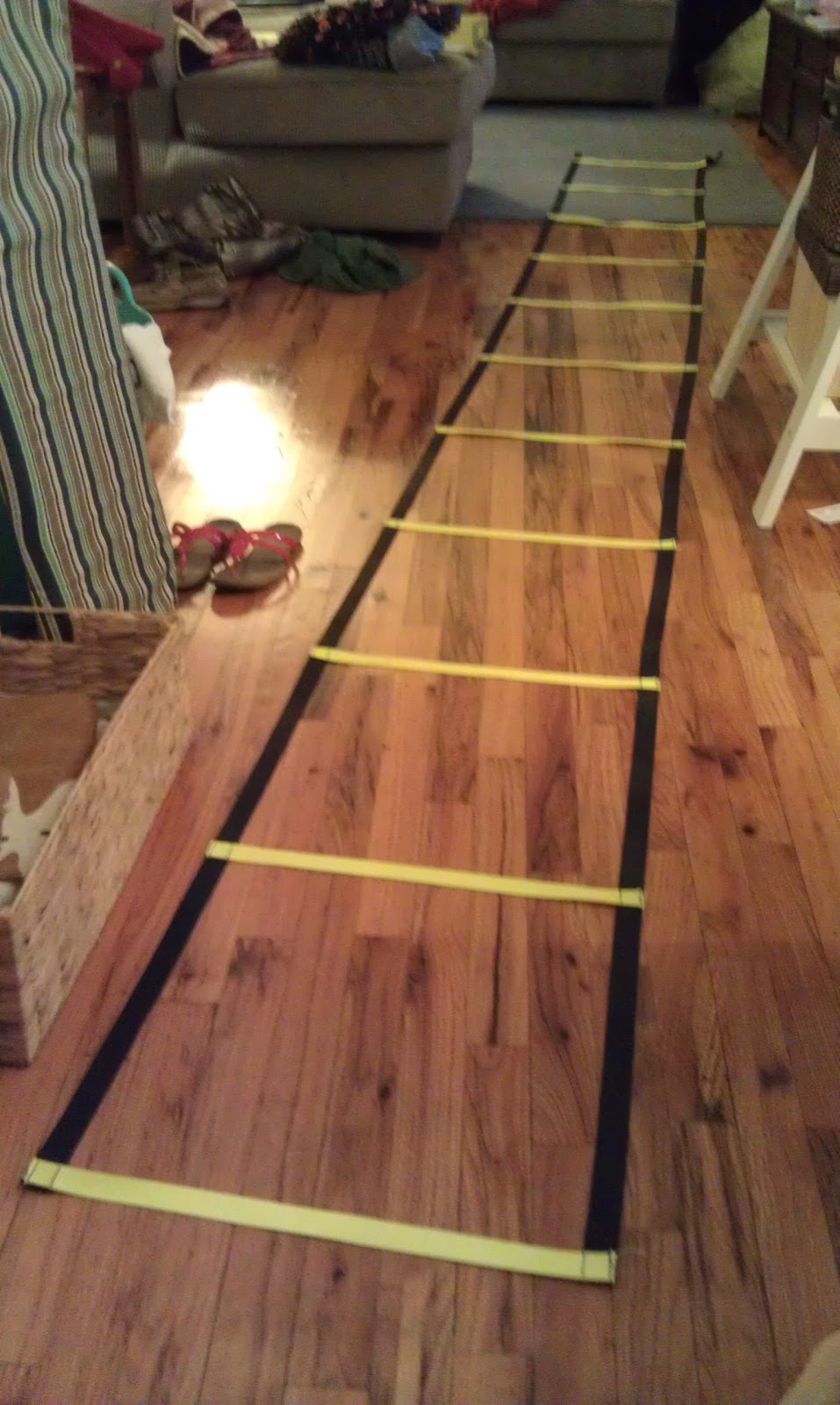 CraftyBridge Agility Ladder