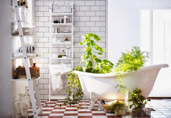 BADEBANYO: Las PLANTAS ideales para el BAÑO