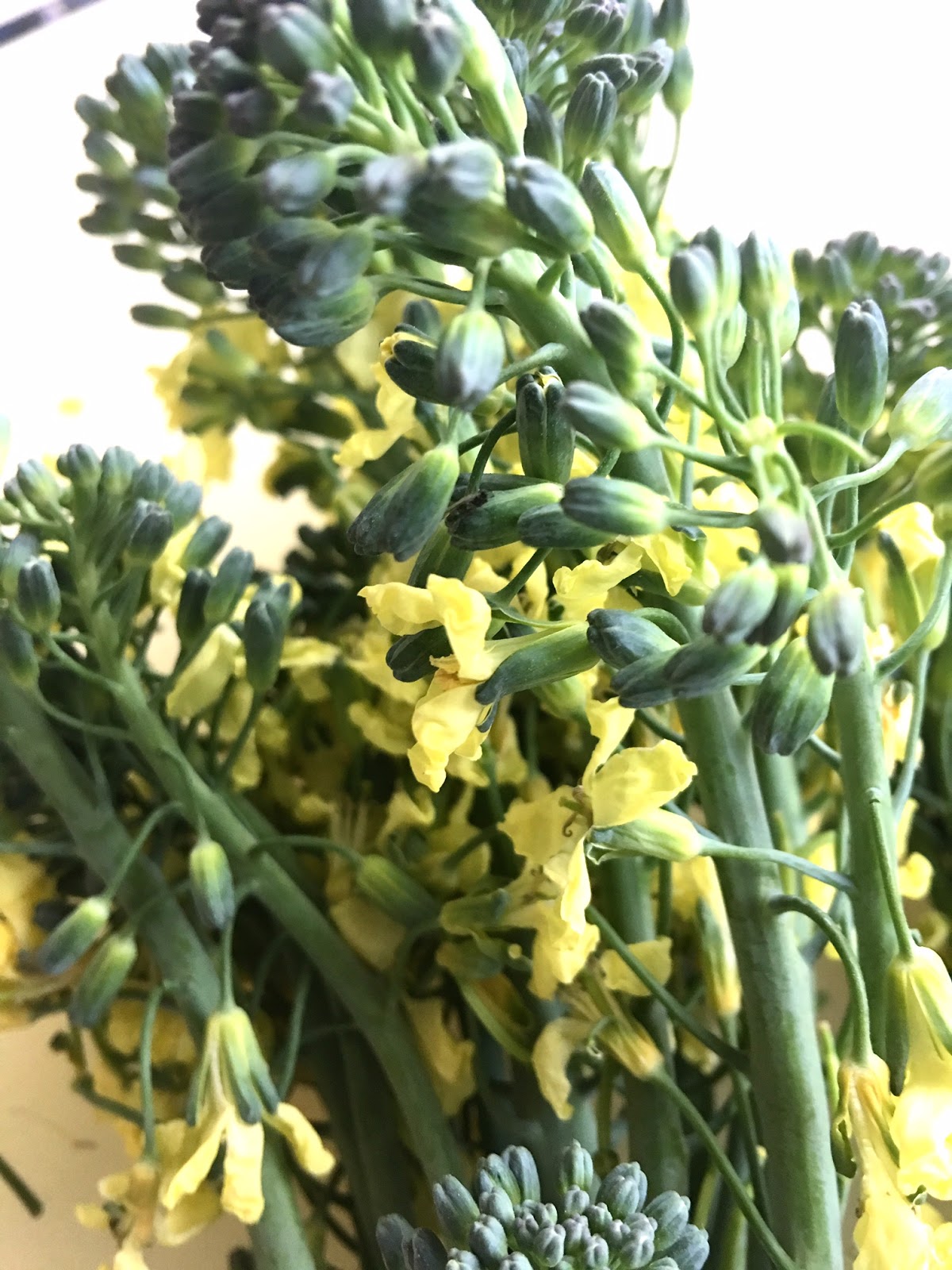 To Market, To Market with San Diego Foodstuff Broccoli Flower Salad