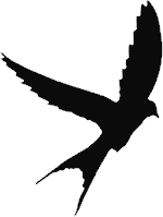 Image: http://3.bp.blogspot.com/-Y1ogSQSPbVg/VR0TNNXGbxI/AAAAAAAAAWE/pW5hldjOvB0/s1600/paloma.png