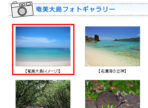 バニラエアの奄美行きツアーが公開されています Help Point