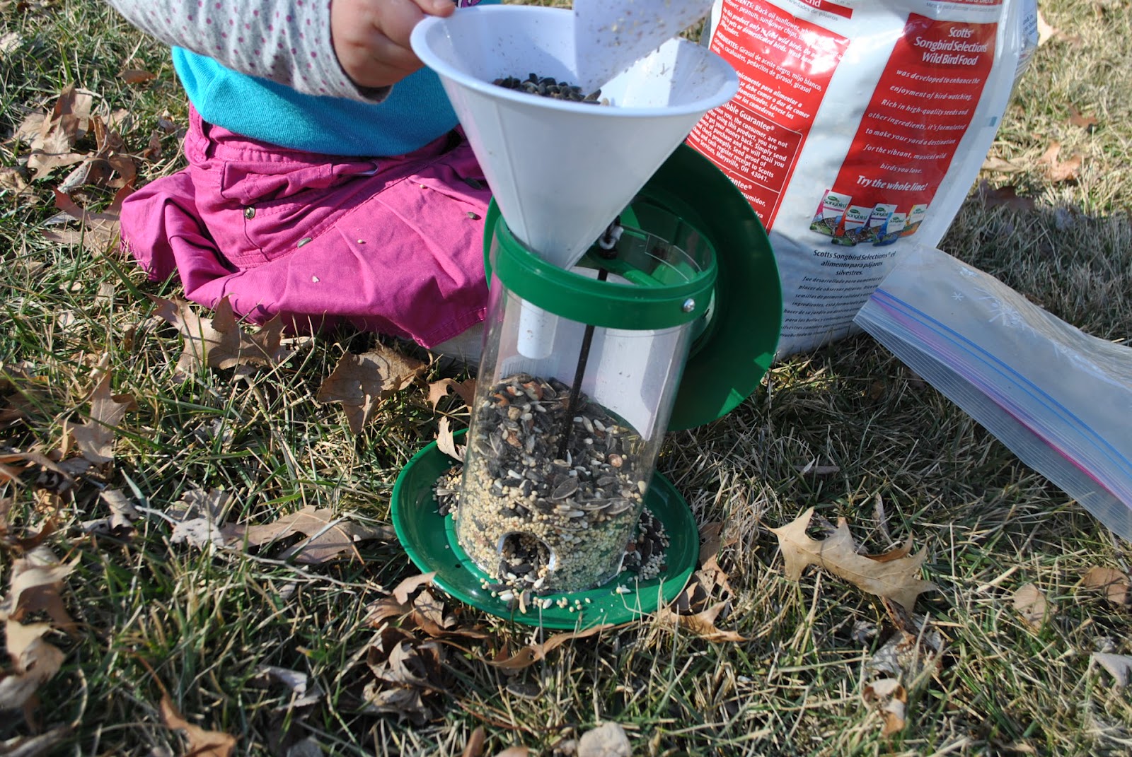 The Iowa Farmer's Wife 5 Days of Outdoor Play Feeding Birds