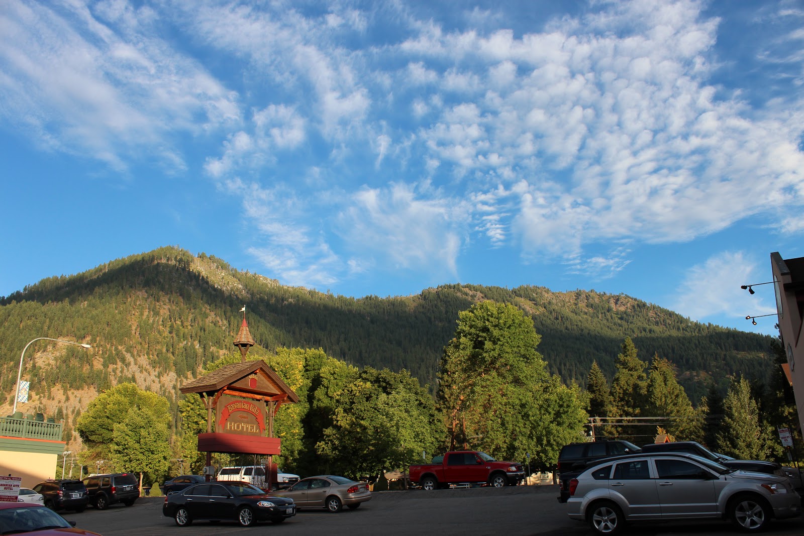 [Image: IMG_0236.JPG]