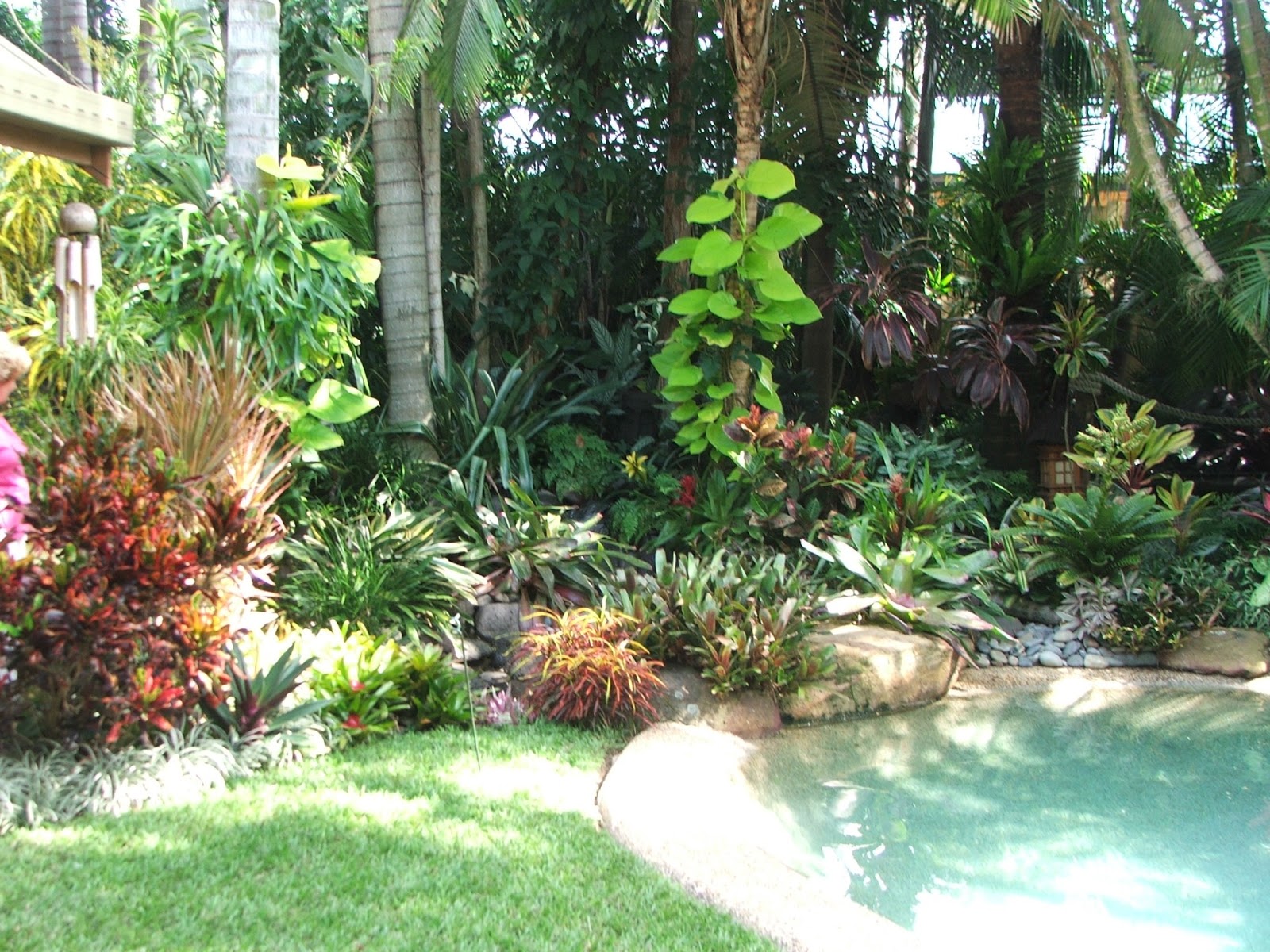 Onslow and Miss B: Tropical paradise