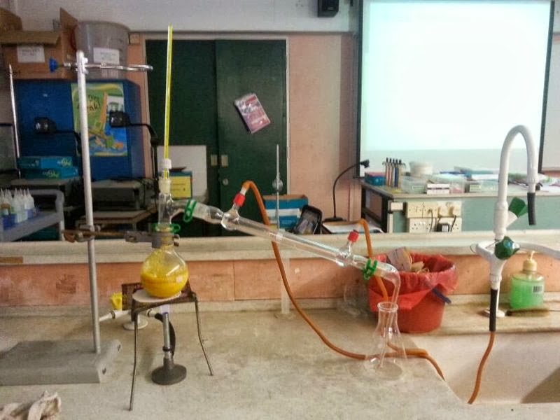 Go Green D Extracting Limonene from Orange Peel
