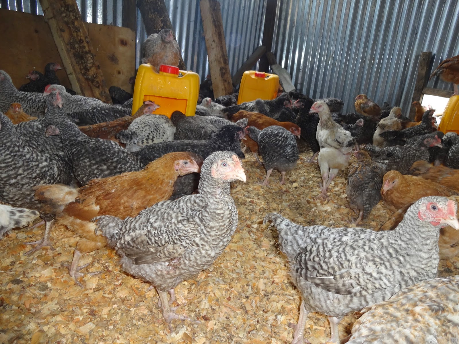 Developments in rural areas across the world Let's walk the talk