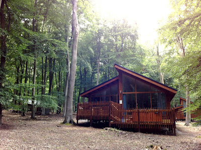The Dressing Parlour The Forest And The Sea
