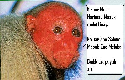 Sungai Chat Ba Zoo Ka Penaka