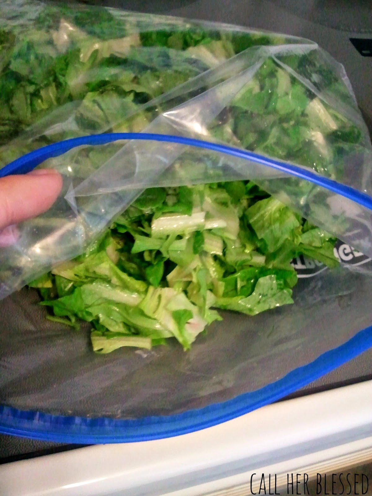 Call Her Blessed Making My Own Bagged Salad