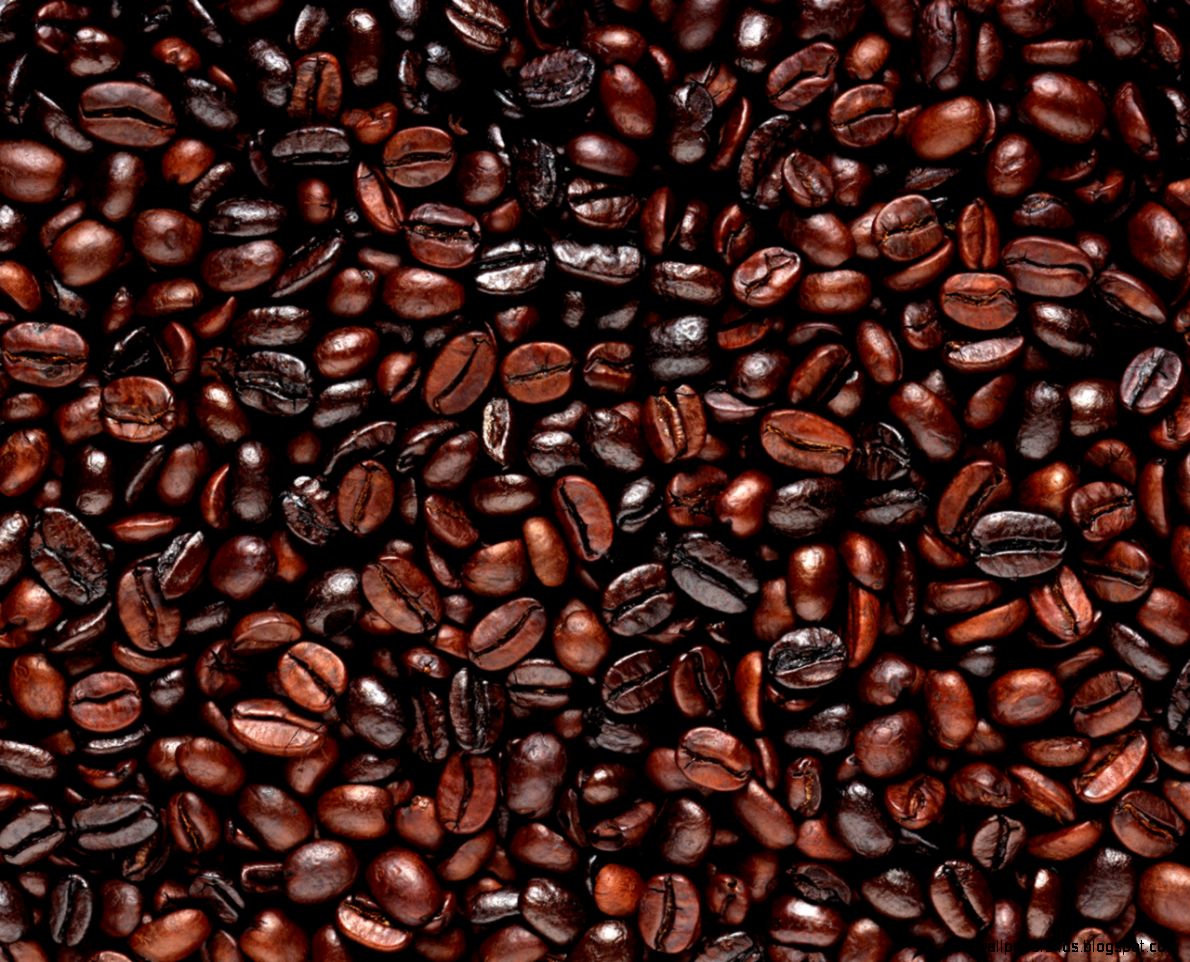 Charleston Coffee Exchange Where to Buy Our Fresh Roasted Coffee Charleston Coffee Exchange Where to Buy Our Fresh Roasted Coffee