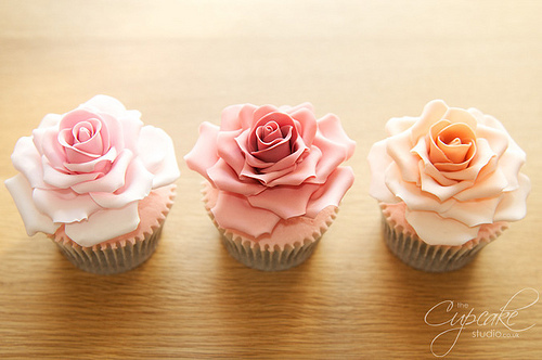 Deserturi.  - Page 22 Cupcakes-cute-pink-roses-Favim.com-347012+thecupcake+studio