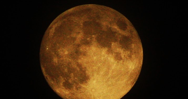 harvest moon