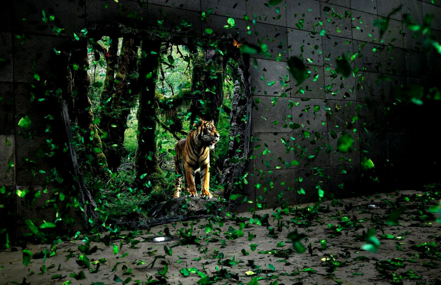 Beautiful highresolution Beautiful highresolution