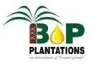 Lowongan Kerja Bewani Oil Palm Plantations