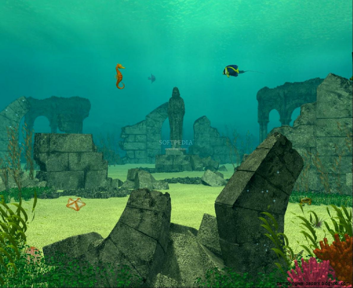Animated Underwater Wallpaper Size 1280x1024 Animated Underwater Wallpaper Size 1280x1024