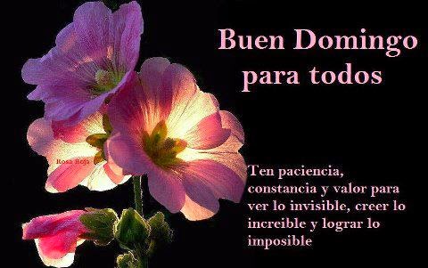 Afficher l'image d'origine