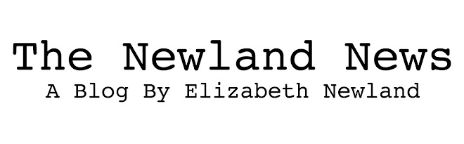 The Newland News