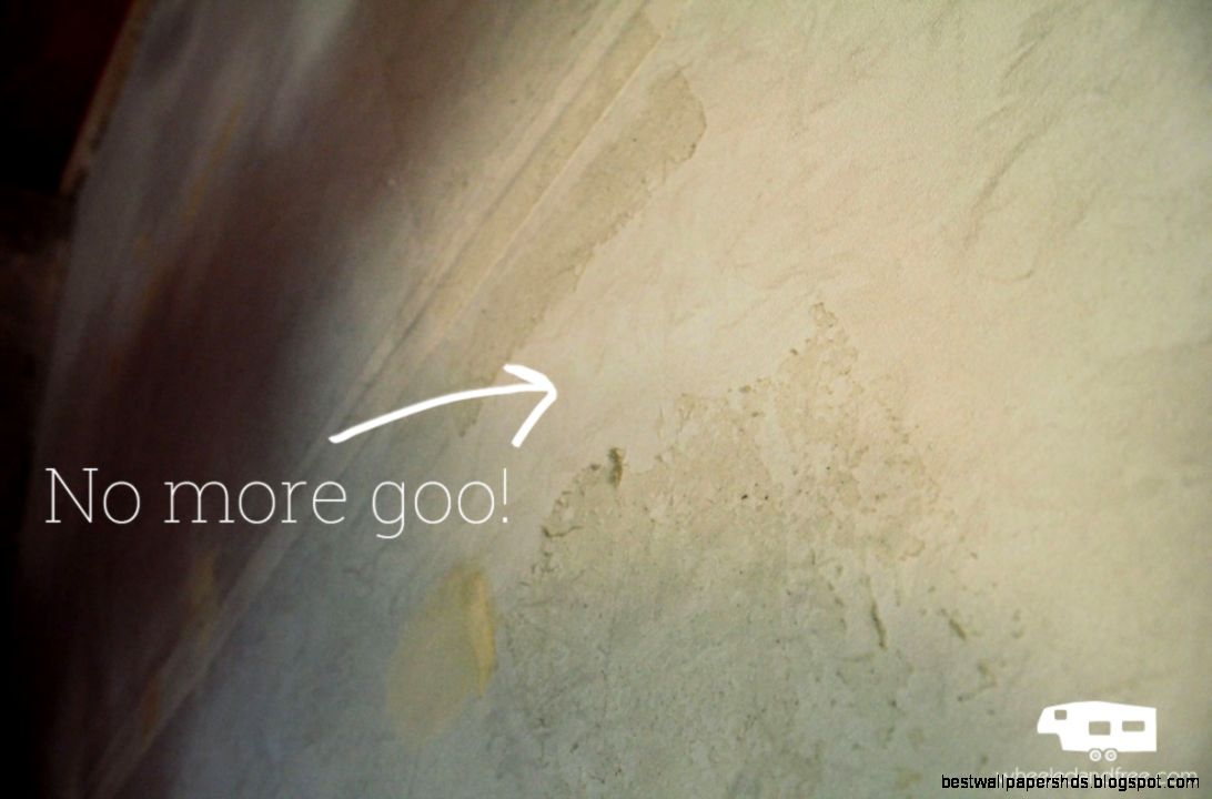 Adventures in Removing RV Wallpaper Border Wheeled and Free Adventures in Removing RV Wallpaper Border Wheeled and Free