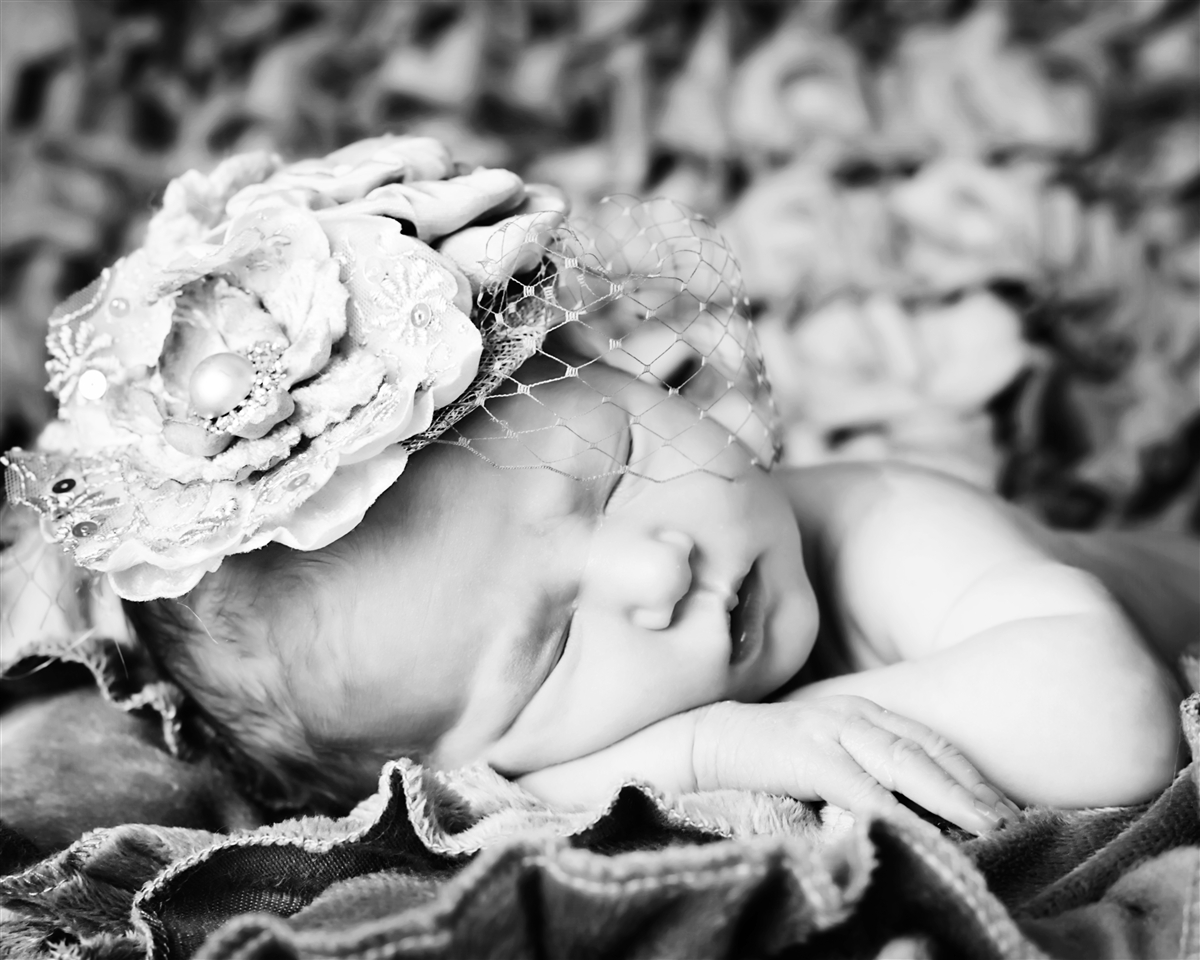 baby dream photography baby dream photography