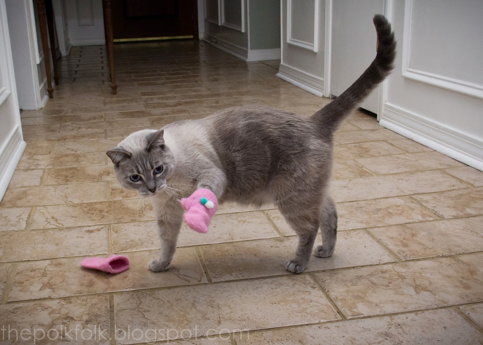 The Polk Folk LIKE A KITTEN IN MITTENS