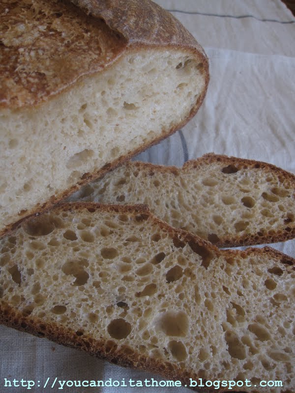 You can do it... at home! Mixed Flour Sourdough with Wheat Germ made