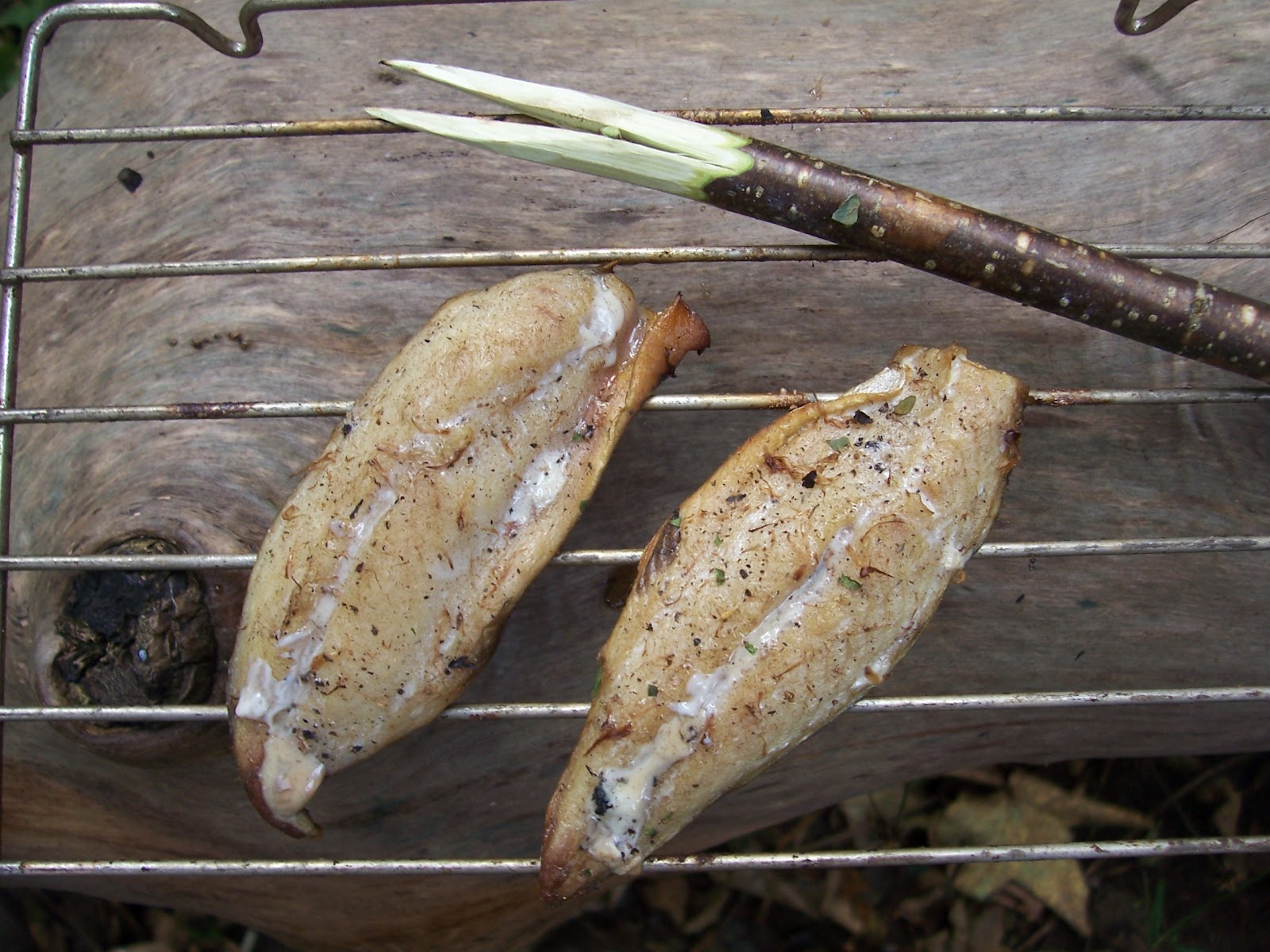 BUZZARD BUSHCRAFT Campfire Smoked Mackerel